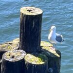 Day 30: To the state of Washington